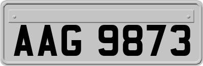 AAG9873