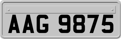 AAG9875