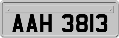 AAH3813