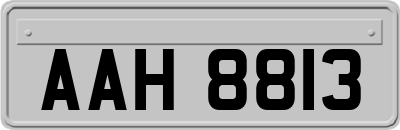 AAH8813