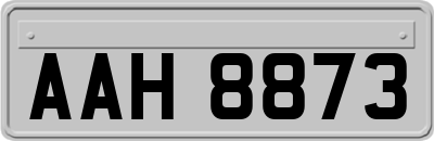 AAH8873