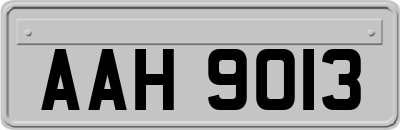 AAH9013