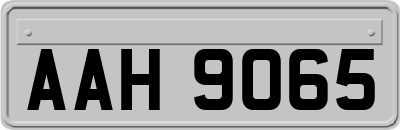 AAH9065