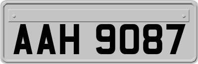 AAH9087