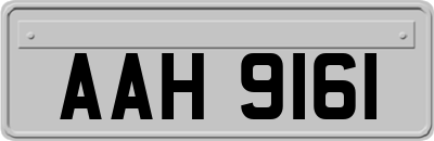 AAH9161