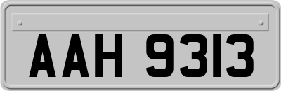 AAH9313