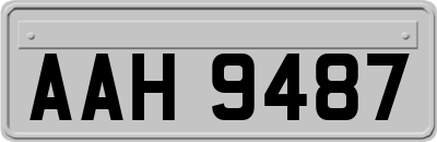 AAH9487