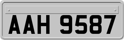 AAH9587