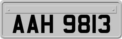 AAH9813