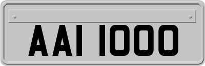 AAI1000