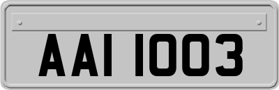 AAI1003