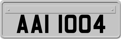 AAI1004