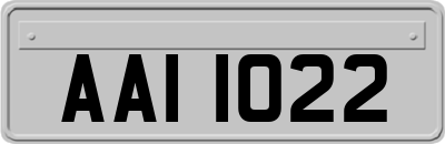 AAI1022