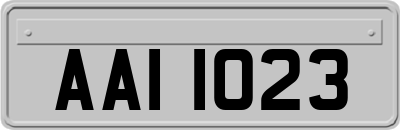 AAI1023