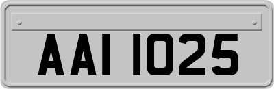 AAI1025