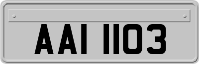 AAI1103