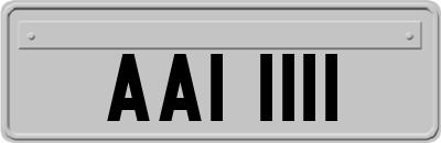 AAI1111