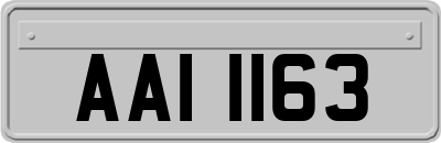 AAI1163