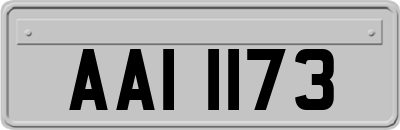 AAI1173