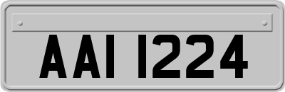 AAI1224