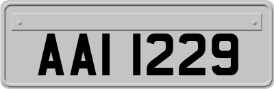 AAI1229