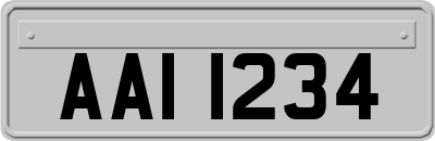 AAI1234