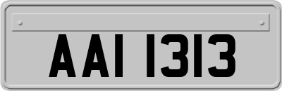 AAI1313