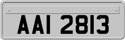 AAI2813