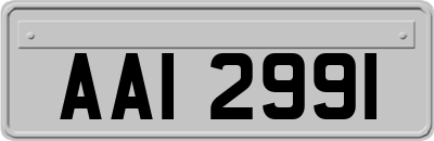 AAI2991