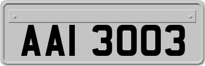 AAI3003