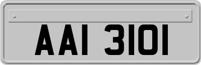 AAI3101