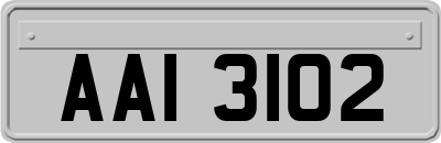 AAI3102