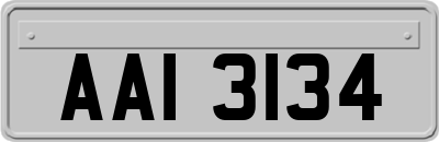 AAI3134