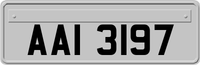 AAI3197