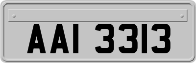 AAI3313