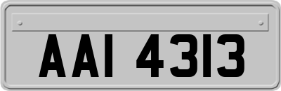 AAI4313