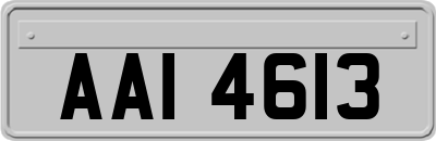 AAI4613