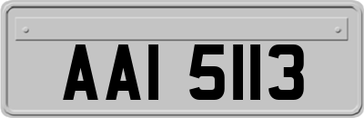 AAI5113