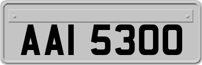 AAI5300