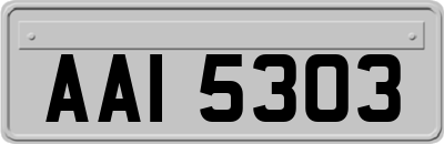 AAI5303