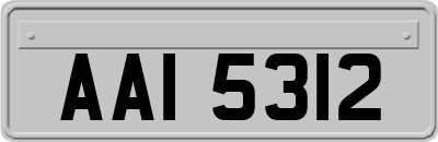 AAI5312