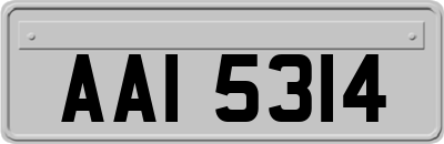 AAI5314