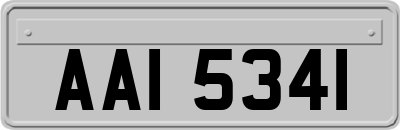 AAI5341