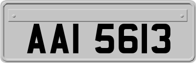 AAI5613