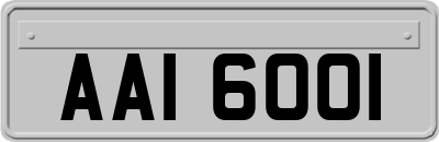 AAI6001