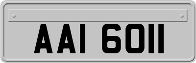 AAI6011