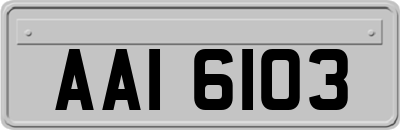 AAI6103