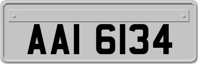 AAI6134