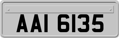 AAI6135