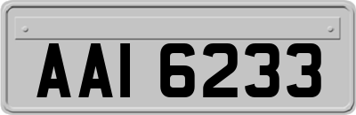 AAI6233